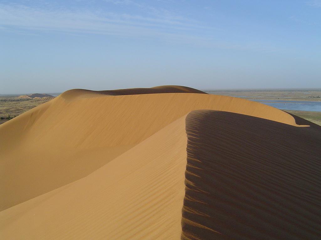 The Dune Rose in Gao
