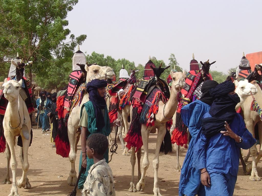 Tuaregs know a thing or two about camels